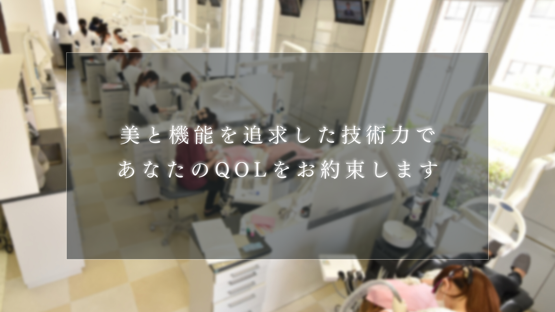 美と機能を追求した技術力であなたのDOLをお約束します