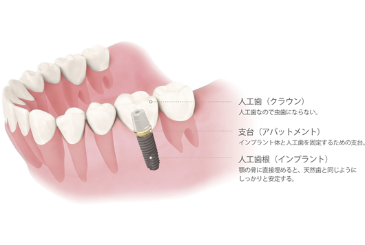 診療案内