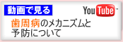 動画で見る　歯周病のメカニズムと予防について