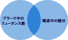 プラーク中のミュータンスと唾液中の糖分